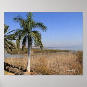 Poster Mer de Galillee Israël toile Imprimer