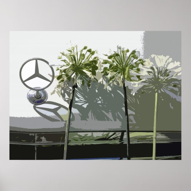 POSTER MERCEDES & AGAPANTHUS (Devant)