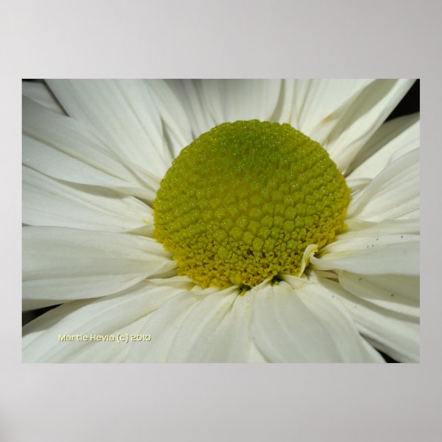 Poster Mère blanche (Devant)