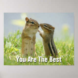 Poster Mère Et Bébé Chipmunk