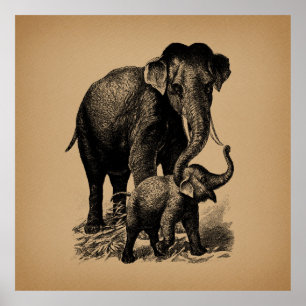 Poster Mère et bébé Eléphant Art Vintage