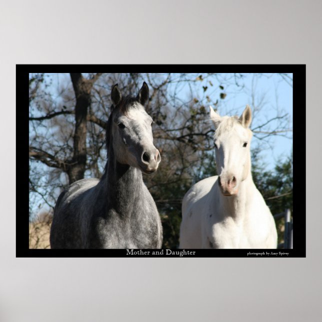 Poster Mère et fille (Devant)