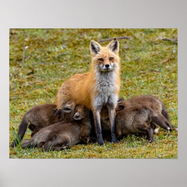 Poster Mère être comme (Devant)