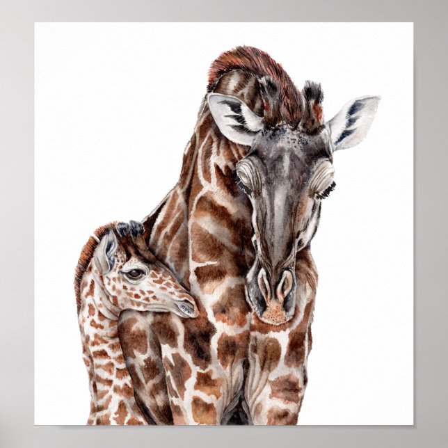 Poster Mère Giraffe avec Bébé Giraffe (Devant)