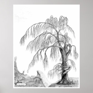 Poster "Mère Nature", par Jeff Camden