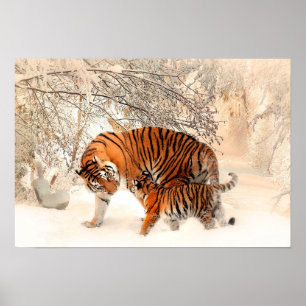 Poster Mère Tigre et Cub dans la forêt de neige