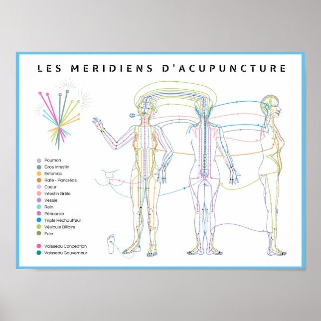 Poster Méridiens d'Acupuncture, médecine chinoise (Devant)