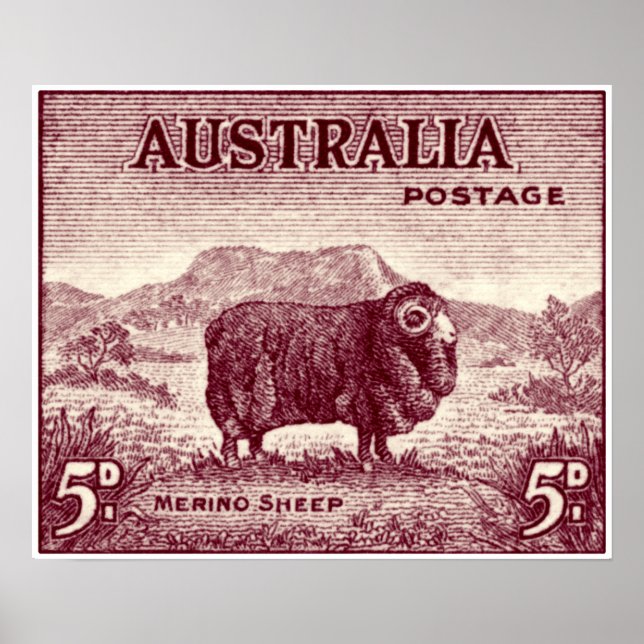 Poster Merino Sheep australien 1934 (Devant)