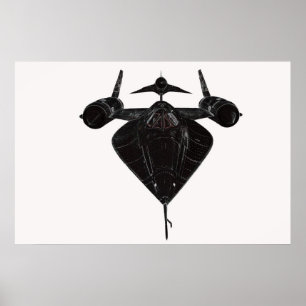 Poster Merle de Lockheed M-21