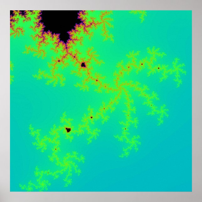 Poster Merveille fractale (Devant)