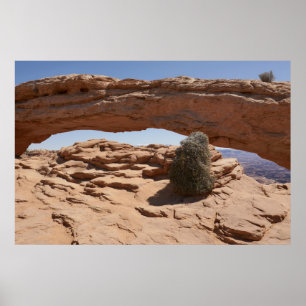 Poster Mesa Arch et Tumbleweed aux Canyonlands