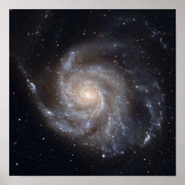 Poster Messier 101, la galaxie Pinwheel (Devant)