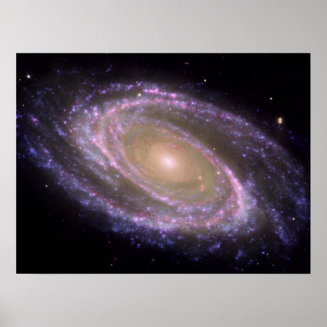 Poster Messier 81 Galaxie spirale (Devant)