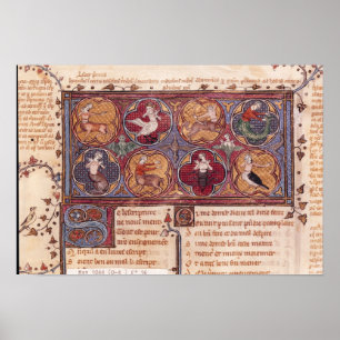 Poster Métamorphoses, d'Ovid Moralize