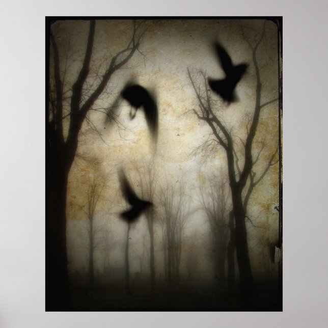 Poster Métrage (Devant)