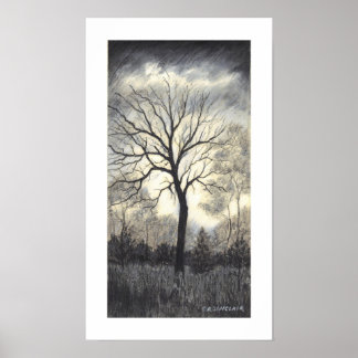 Poster METTRE LA TEMPÊTE par CR SINCLAIR