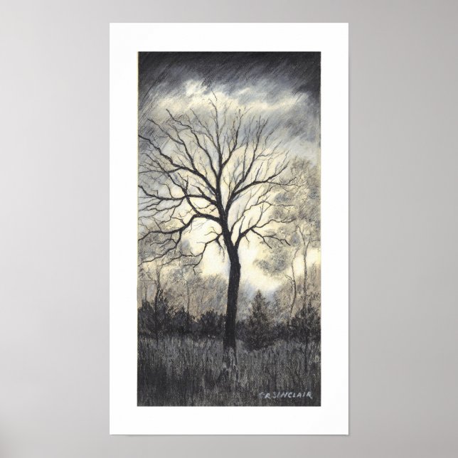 Poster METTRE LA TEMPÊTE par CR SINCLAIR (Devant)