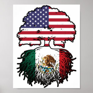 Poster Mexique Mexique États-Unis drapeau des racines d'a