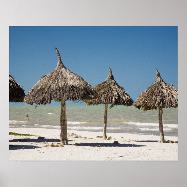Poster Mexique, péninsule du Yucatan, Progreso. Chaume (Devant)