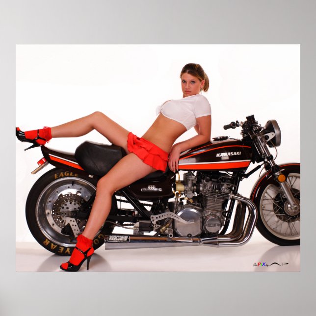 Poster _MG_7804a Cassie et le Z1 (Devant)