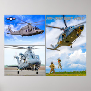 POSTER MH-139A GRAY WOLF