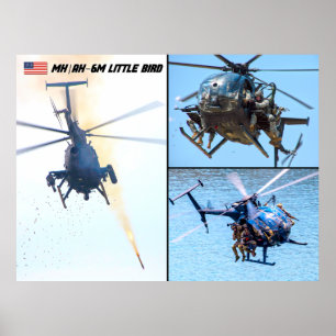 POSTER MH/AH-6M PETIT OISEUR