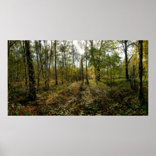 Poster Mi automne,