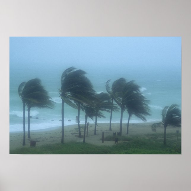 Poster Miami Beach, Floride, vents d'ouragan fouettant (Devant)