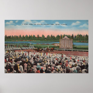 Poster Miami, FL - vue de parc de Hialeah avec le cheval