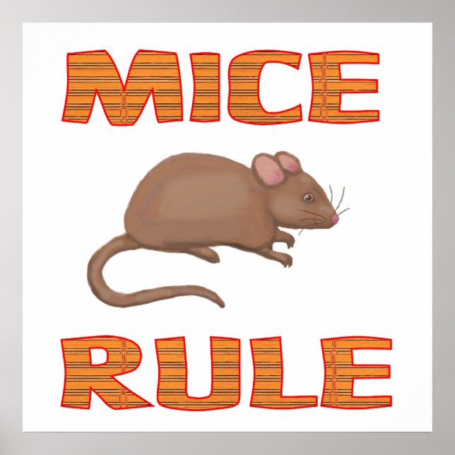 Poster MICE RULE (Devant)