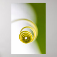 Micro photographie de tige plante