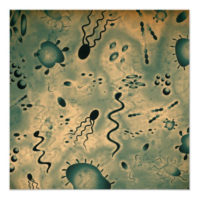 Poster Microbes microscopiques (Devant)