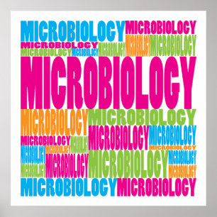 Poster Microbiologie colorée