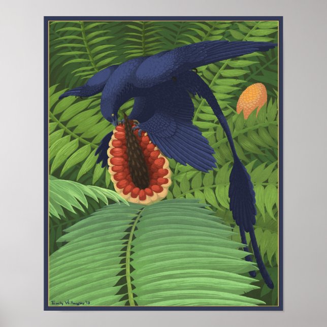 Poster Microraptor Omnivory (Devant)