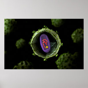 Poster Microscopic View Of HIV Virus, Cross Section