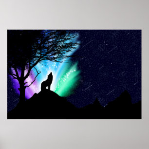 Poster Midnight Howl