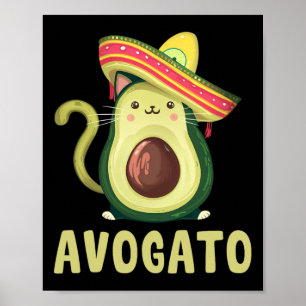 Poster Mignon Avogato Drôle Cinco De Mayo Chat Avocat Enf