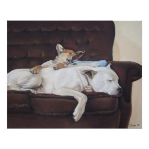 Poster mignon chiot brun bouddin blanc américain taureau