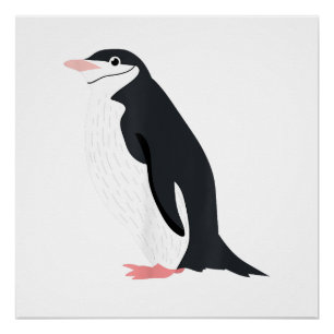 Poster Mignon Manchot à Collier Drôle Amour pour les Anim