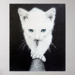 Poster Mignon petit chaton blanc Dessin d'animal Art Amou