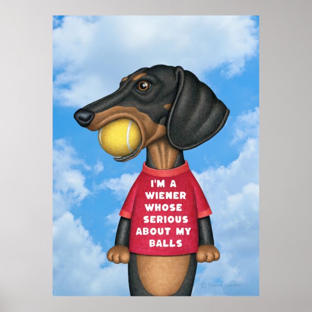 Poster Mignonne Dachshund avec balle de tennis dans la bo (Devant)