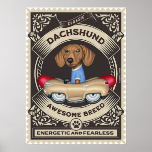 Poster Mignonne Dachshund Conduite voiture Golden Sausage