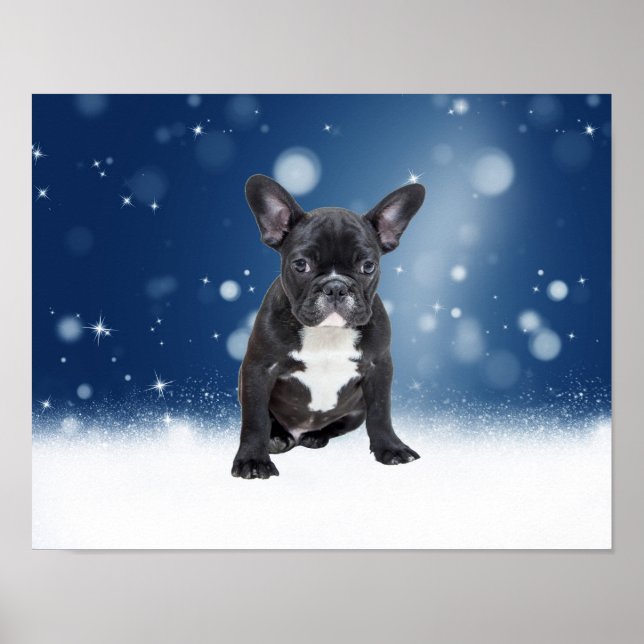 Poster Mignonne French Bulldog Etoiles de neige Bleu Noël (Devant)