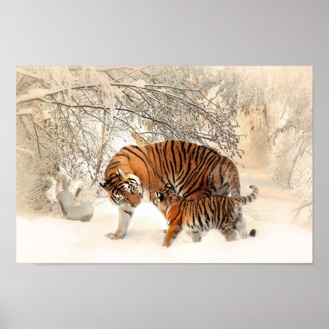 Poster Mignonne Mère Tigre avec bébé en neige (Devant)