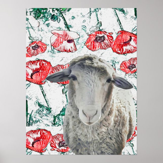 Poster Mignonne Mérino Mouton Animal Red Poppy Fleurs (Devant)