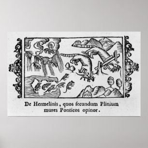 Poster Migration des lemmings