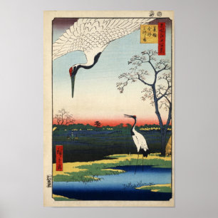 Poster Mikawashima