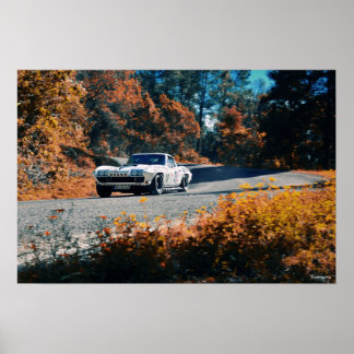 Poster Mil cumbres dowhill (La course mexicaine)