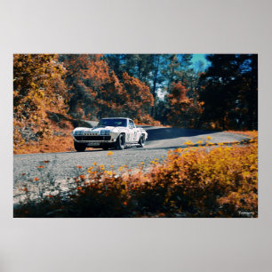 Poster Mil cumbres dowhill (La Mexican Race)