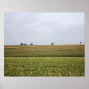 Poster Milieu de Cornfield couleur paysage 16x20